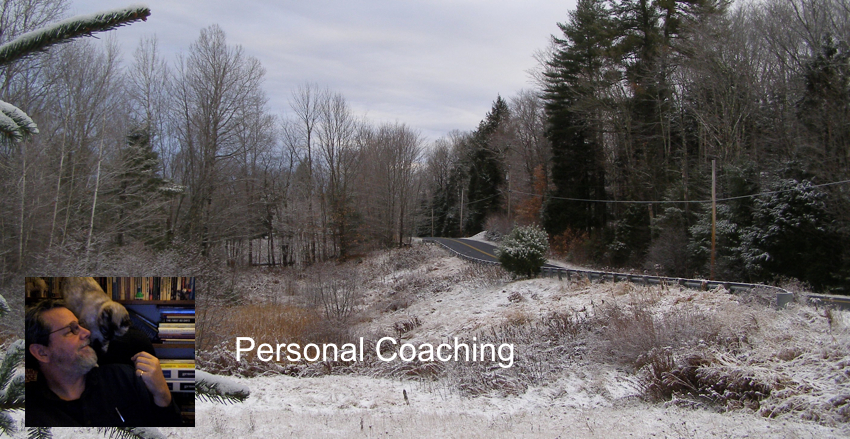 Personal Emotional Intelligence Coaching