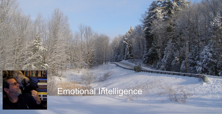 Emotional Intelligence Defined